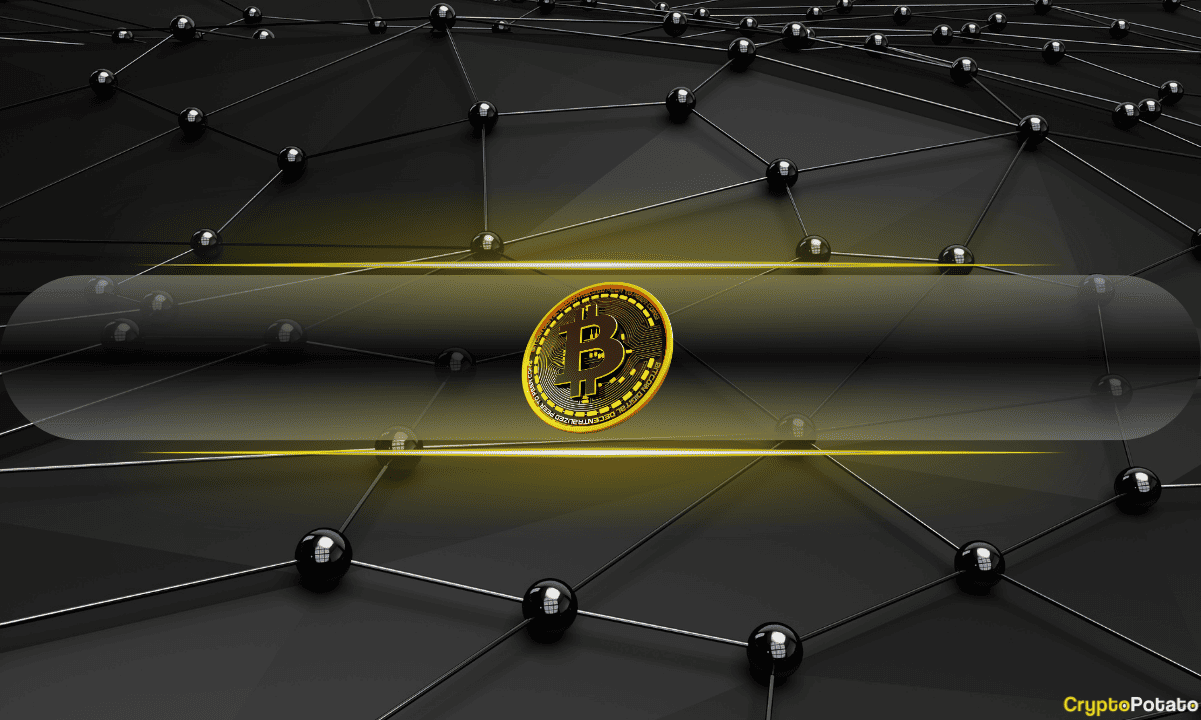 Bitcoin Leverage Flush Wipes Out $8B in Open Interest as Whales Accumulate