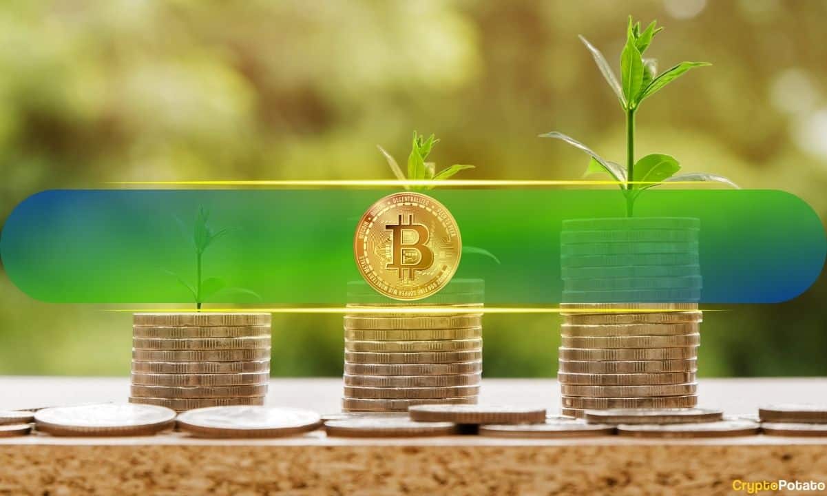 Long-Term BTC, ETH, XRP, SOL Investors Lock in $2.8B as Market Stalls