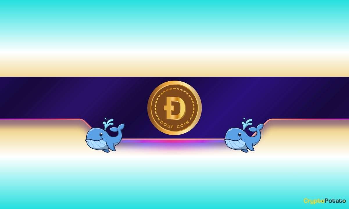 Is Dogecoin Gearing up for Further Rally?